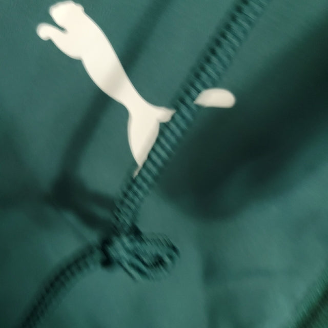 Jaqueta Corta-Vento Palmeiras 23/24 - Masculina Puma - Verde com detalhes em branco