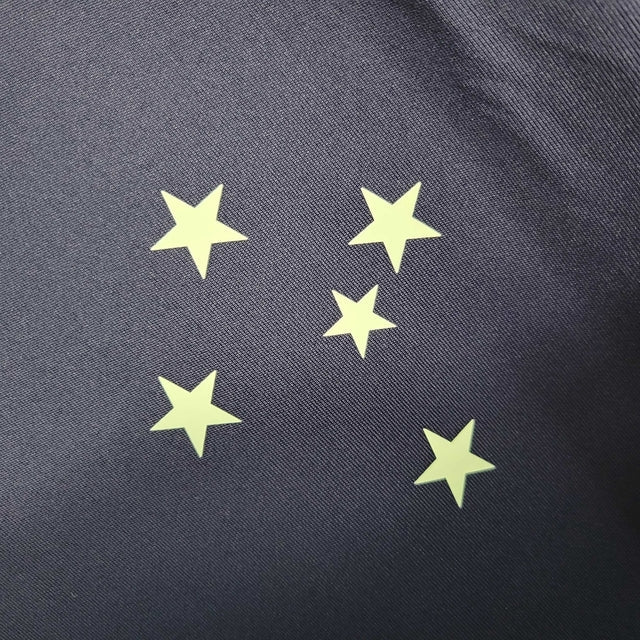 Camisa Cruzeiro Treino 23/24 Torcedor Adidas Masculina - Roxo