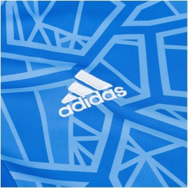 Camisa Flamengo Goleiro 22/23 Torcedor Adidas Masculina - Azul