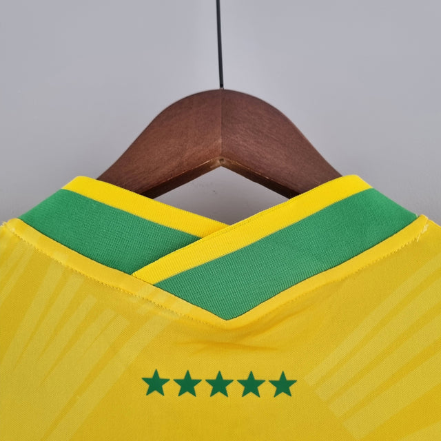 Camisa Seleção Brasileira Edição Especial Cristo Redentor Torcedor Nike Masculina - Amarela