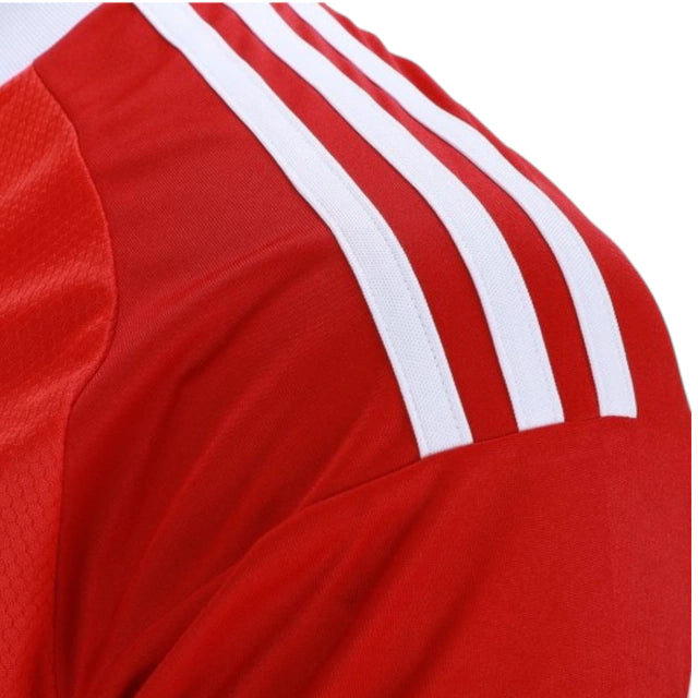 Camisa Flamengo Goleiro IV 25/26 - Torcedor Adidas Masculina - Vermelha