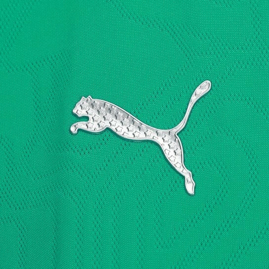 Camisa Palmeiras Treino 25/26 -  Puma Feminina - Verde