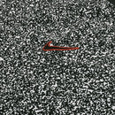 Camisa Corinthians Pré-jogo 24/25 - Torcedor Nike Masculina - Branca com detalhes em preto