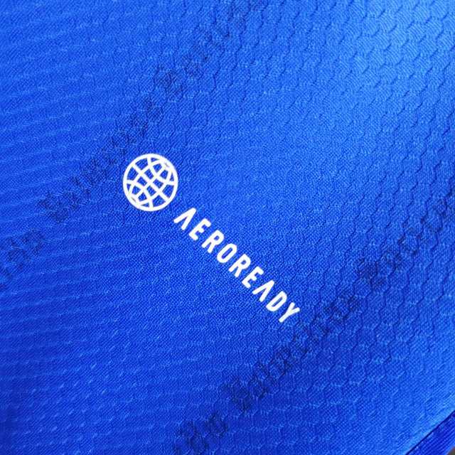 Camisa Palmeiras Edição especial 23/24 - Torcedor Puma Masculina - Azul com detalhes em vermelho e verde e branco