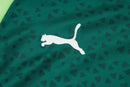 Conjunto Palmeiras Treino 24/25 - Masculino Puma - Verde