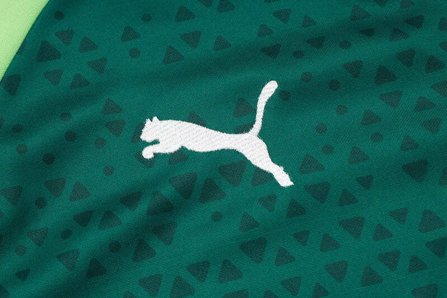 Conjunto Palmeiras Treino 24/25 - Masculino Puma - Verde