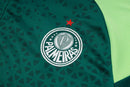 Conjunto Palmeiras Treino 24/25 - Masculino Puma - Verde