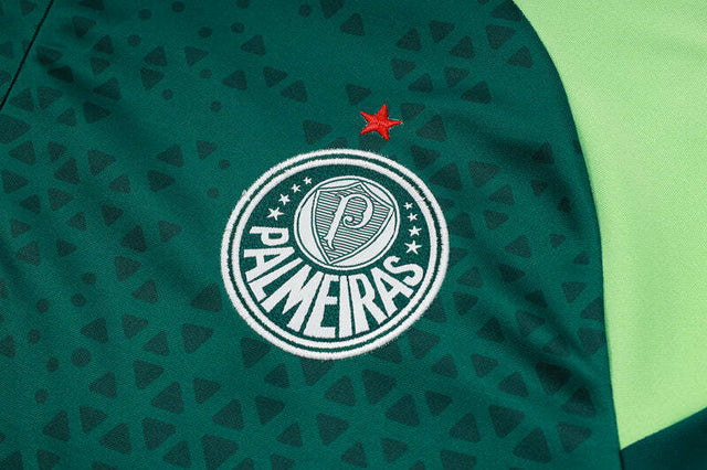 Conjunto Palmeiras Treino 24/25 - Masculino Puma - Verde