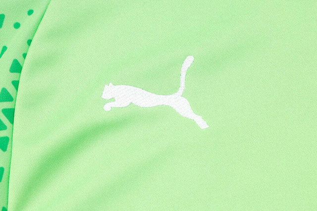 Conjunto Palmeiras Treino 24/25 - Masculino Puma - Verde