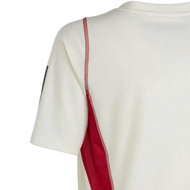 Camisa Flamengo Treino 23/24 Torcedor Adidas Masculina - Branco