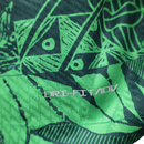 Camisa Nigéria I 23/24 - Jogador Nike Masculina - Verde com detalhes em branco