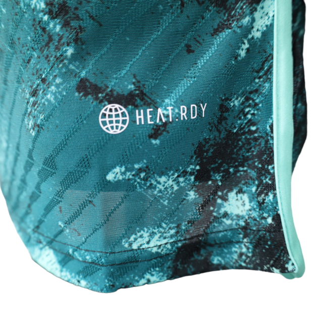 Camisa Seleção da Alemanha II 23/24 - Jogador Adidas Masculina - Verde com detalhes em preto e dourado