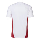 Camisa Red Bull Leipzig Treino 24/25 - Torcedor Puma Masculina - Branca