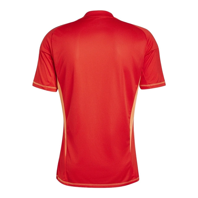 Camisa Juventus Goleiro 24/25 - Torcedor Adidas Masculina - Vermelha