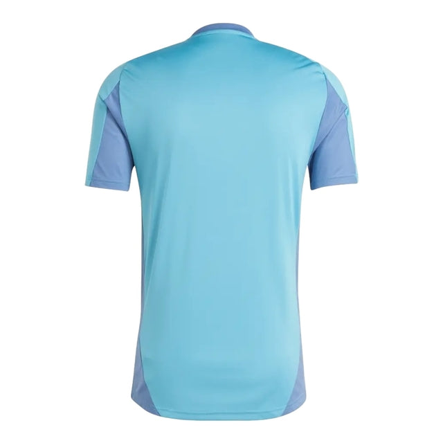 Camisa Ajax Treino 24/25 - Torcedor Adidas Masculina - Azul