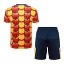 Kit Treino adulto - Camisa e Shorts - Barcelona Nike 24/25 - Amarelo e vermelho e azul