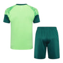 Kit Treino adulto - Camisa e Shorts - Palmeiras Puma 24/25 - Verde