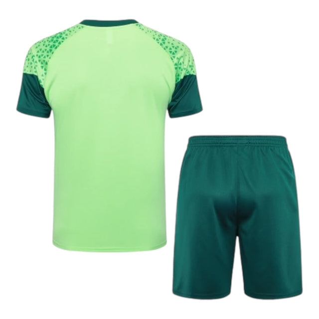 Kit Treino adulto - Camisa e Shorts - Palmeiras Puma 24/25 - Verde