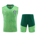 Kit Treino adulto - Camisa e Shorts - Palmeiras Puma 24/25 - Verde