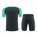 Kit Treino adulto - Camisa e Shorts - Barcelona Nike 23/24 - Cinza e verde