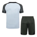 Kit Treino adulto - Camisa e Shorts - Barcelona Nike 23/24 - Cinza e verde