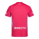 Camisa River Plate Goleiro 24/25 - Torcedor Adidas Masculina - Rosa