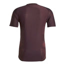 Camisa Bayern de Munique Treino 24/25 - Torcedor Adidas Masculina - Vinho