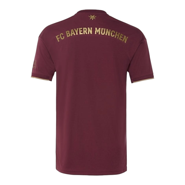 Camisa Bayern de Munique Aniversário 125 anos 24/25 - Torcedor Adidas Masculina - Vinho