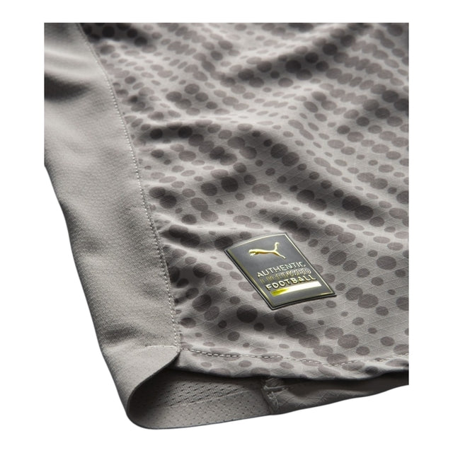 Camisa Seleção Portugal Goleiro 25/26 - Torcedor Puma Masculina - Cinza