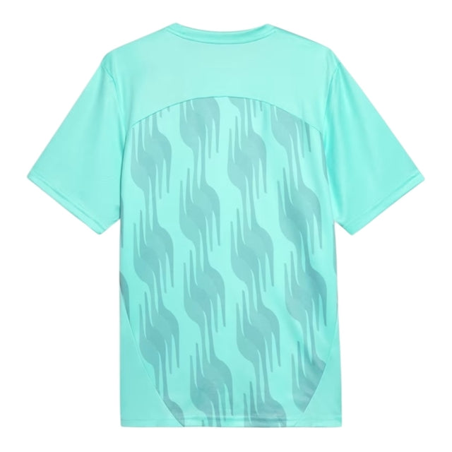 Camisa Palmeiras Pré-jogo 25/26 - Torcedor Puma Masculina - Verde