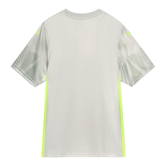 Camisa Palmeiras Goleiro III 25/26 - Torcedor Puma Masculina - Cinza