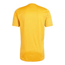 Camisa Boca Juniors Treino 25/26 - Torcedor Adidas Masculina - Amarela