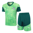 Kit Treino adulto - Camisa e Shorts - Palmeiras Puma 24/25 - Verde