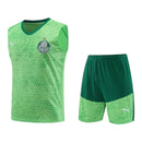 Kit Treino adulto - Camisa e Shorts - Palmeiras Puma 24/25 - Verde