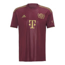 Camisa Bayern de Munique Aniversário 125 anos 24/25 - Torcedor Adidas Masculina - Vinho