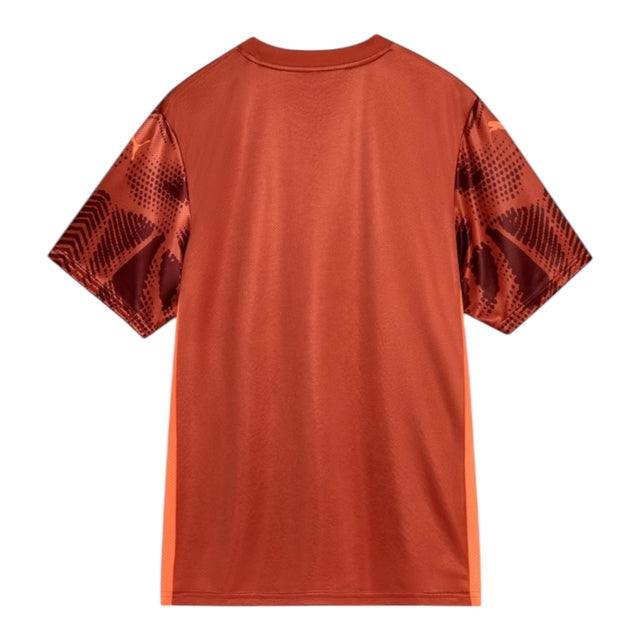 Camisa Palmeiras Goleiro II 25/26 - Torcedor Puma Masculina - Marrom