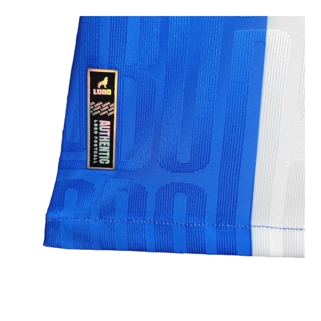 Camisa Paysandu I 24/25 -  Lobo Feminina - Branca com listra azul