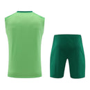 Kit Treino adulto - Camisa e Shorts - Palmeiras Puma 24/25 - Verde
