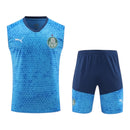 Kit Treino adulto - Camisa e Shorts - Palmeiras Puma 24/25 - Azul