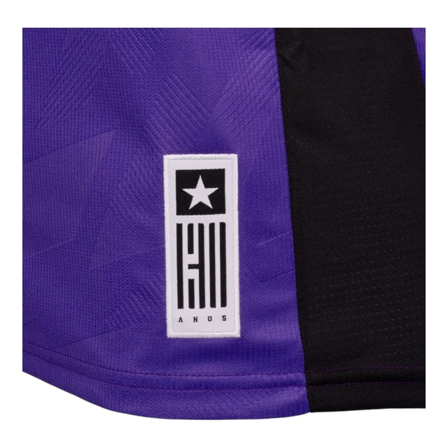 Camisa Botafogo Goleiro 24/25 - Torcedor Reebok Masculina - Roxo com detalhes em preto