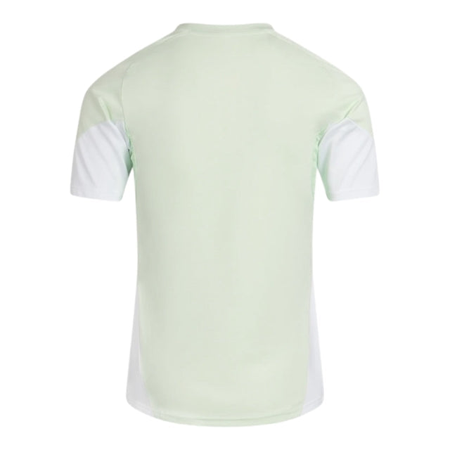 Camisa Celtic Treino 25/26 - Torcedor Adidas Masculina - Verde