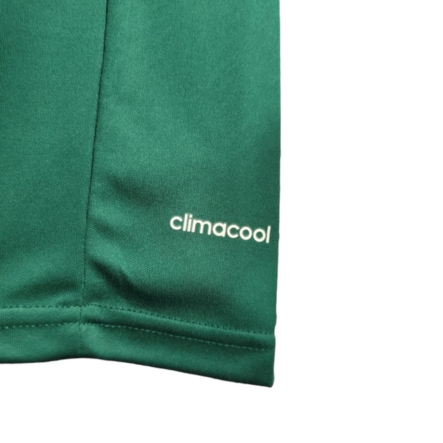 Camisa Retrô Palmeiras Edição Aniversário de 100 anos 2014/2015 - Torcedor Adidas Masculina - Verde com detalhes em dourado