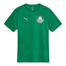 Camisa Palmeiras Treino 25/26 - Torcedor Puma Masculina - Verde