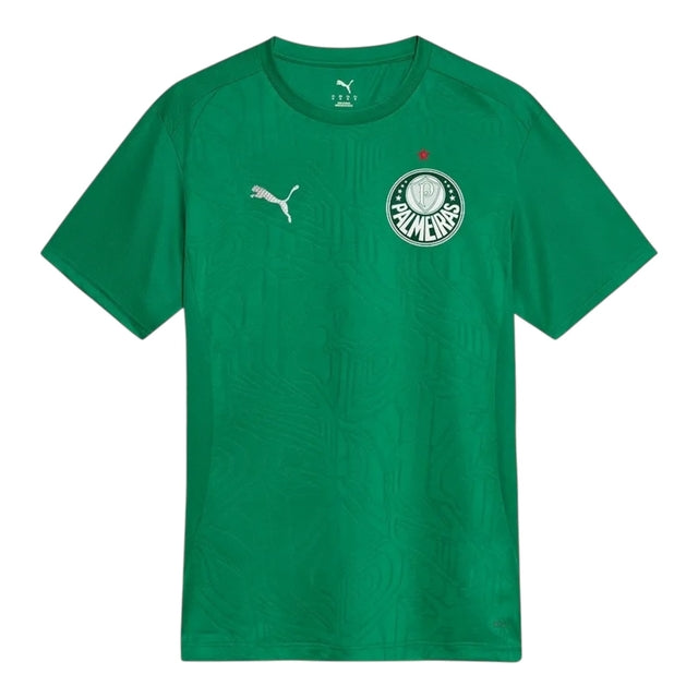Camisa Palmeiras Treino 25/26 - Torcedor Puma Masculina - Verde