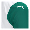Camisa Palmeiras II 25/26 - Torcedor Puma Masculina - Branca e verde