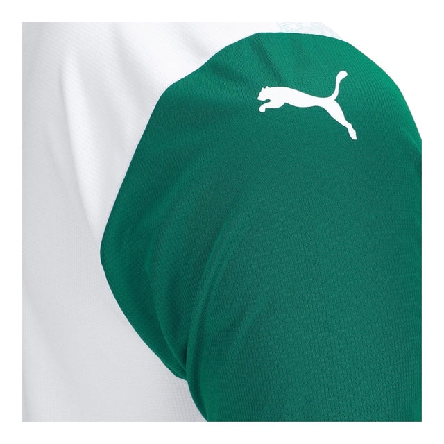 Camisa Palmeiras II 25/26 - Torcedor Puma Masculina - Branca e verde